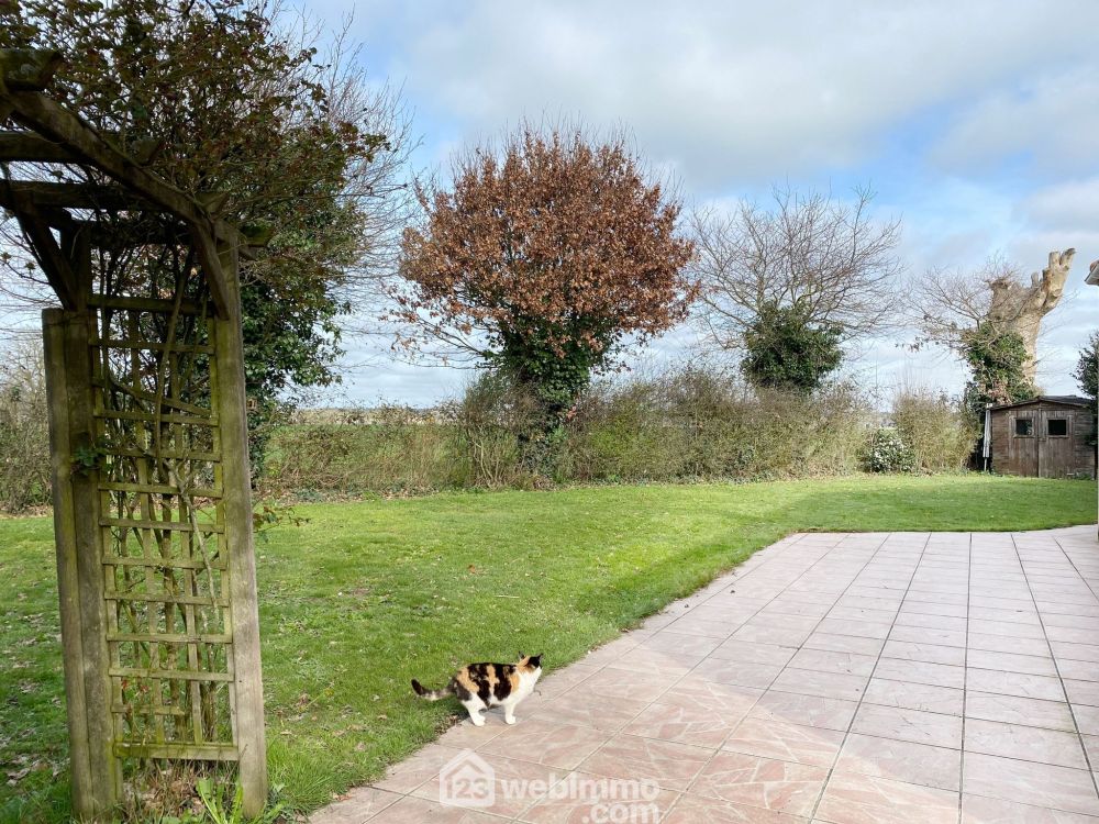 Photo 13 - Toutlemonde 49300 à Toutlemonde