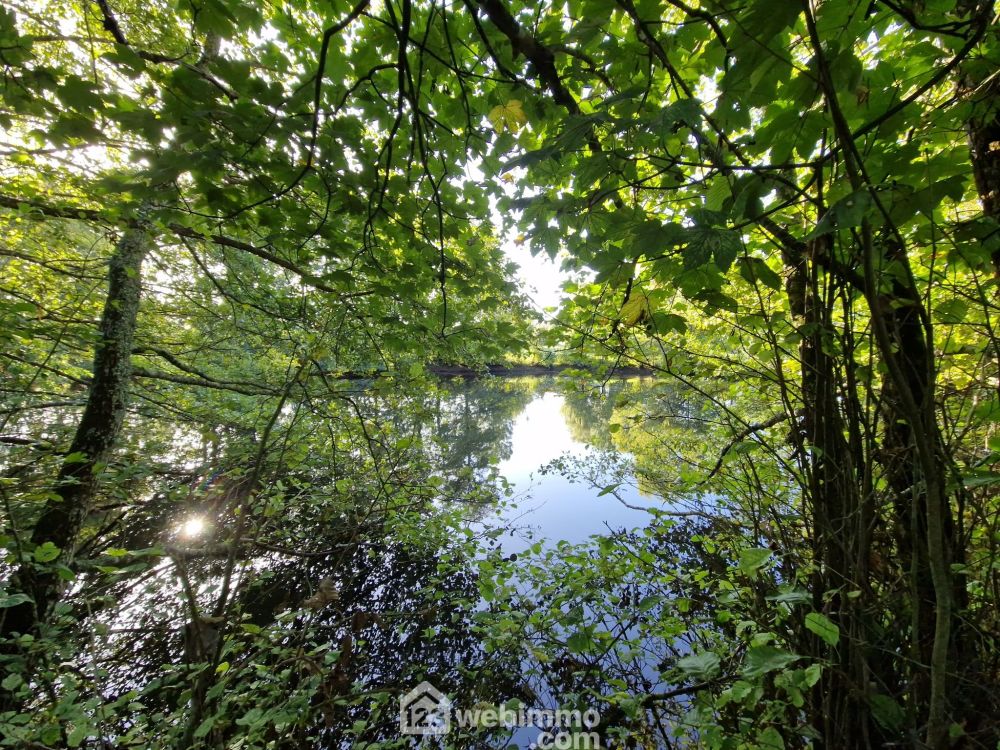 Photo 5 - Nieul-le-Dolent 85430 à Nieul-le-Dolent