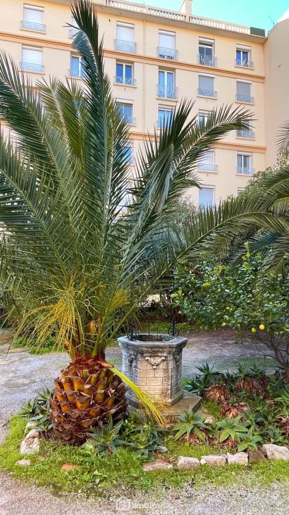 Photo 5 - Cannes 06400 à Cannes