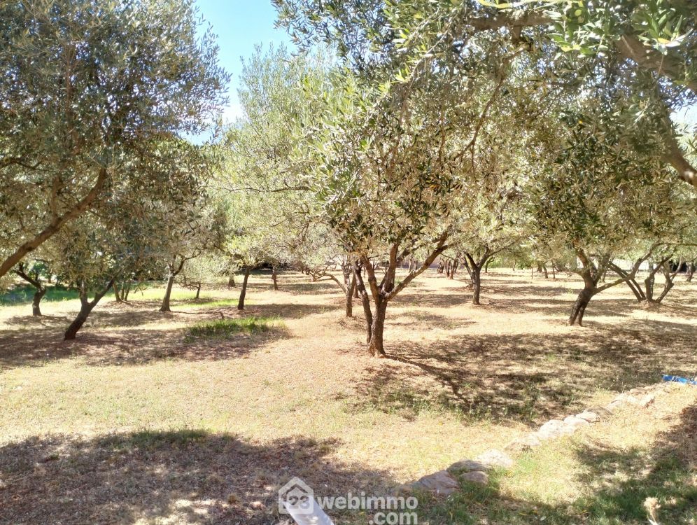 Photo 14 - Le Cannet-des-Maures 83340 à Le Cannet-des-Maures