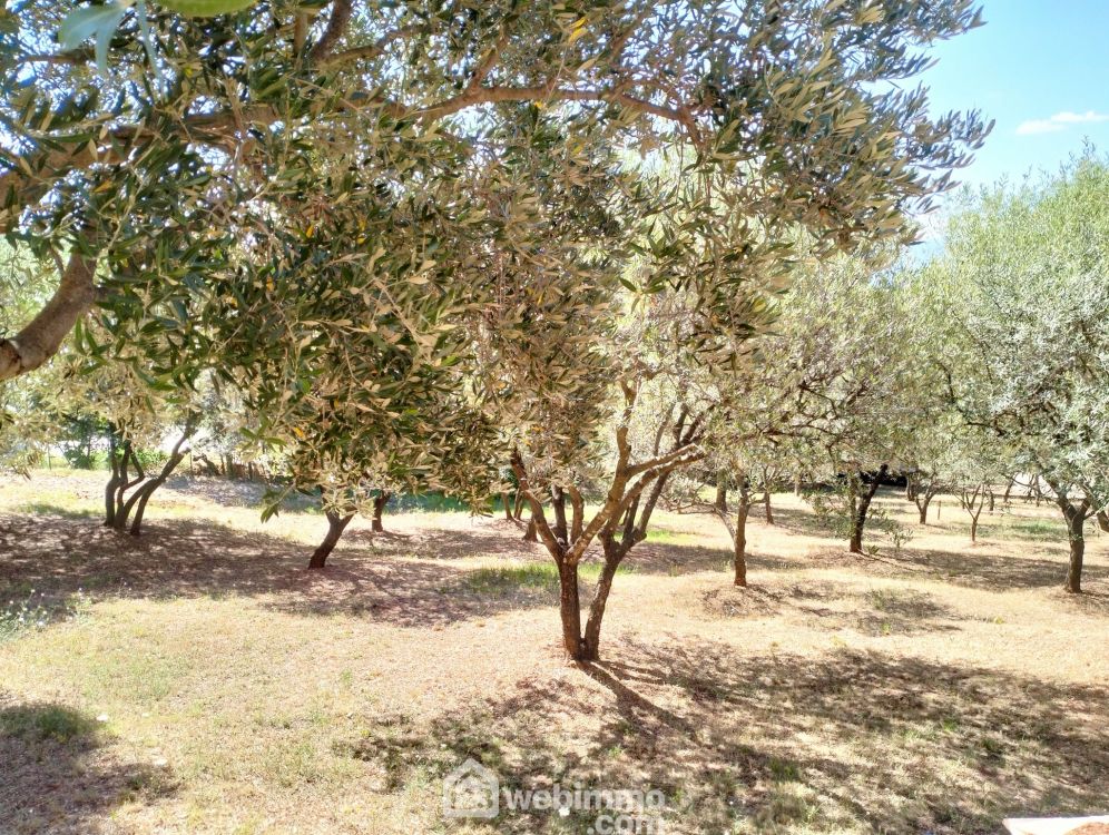 Photo 20 - Le Cannet-des-Maures 83340 à Le Cannet-des-Maures