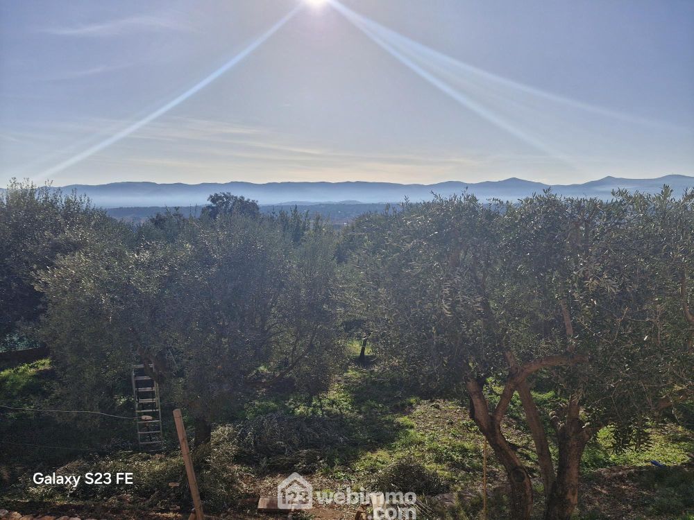 Photo 13 - Le Cannet-des-Maures 83340 à Le Cannet-des-Maures