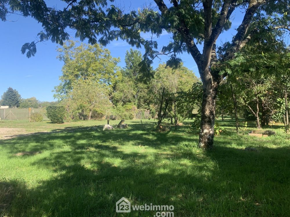 Photo 38 - Lussac-les-Chateaux 86320 à Lussac-les-Chateaux