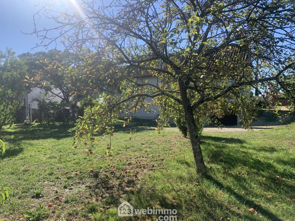 Photo 39 - Lussac-les-Chateaux 86320 à Lussac-les-Chateaux