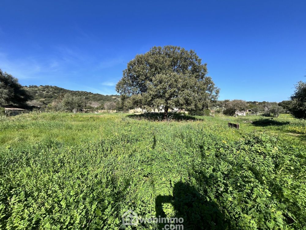 Photo 2 - Santa-Reparata-di-Balagna 20220 à Santa-Reparata-di-Balagna