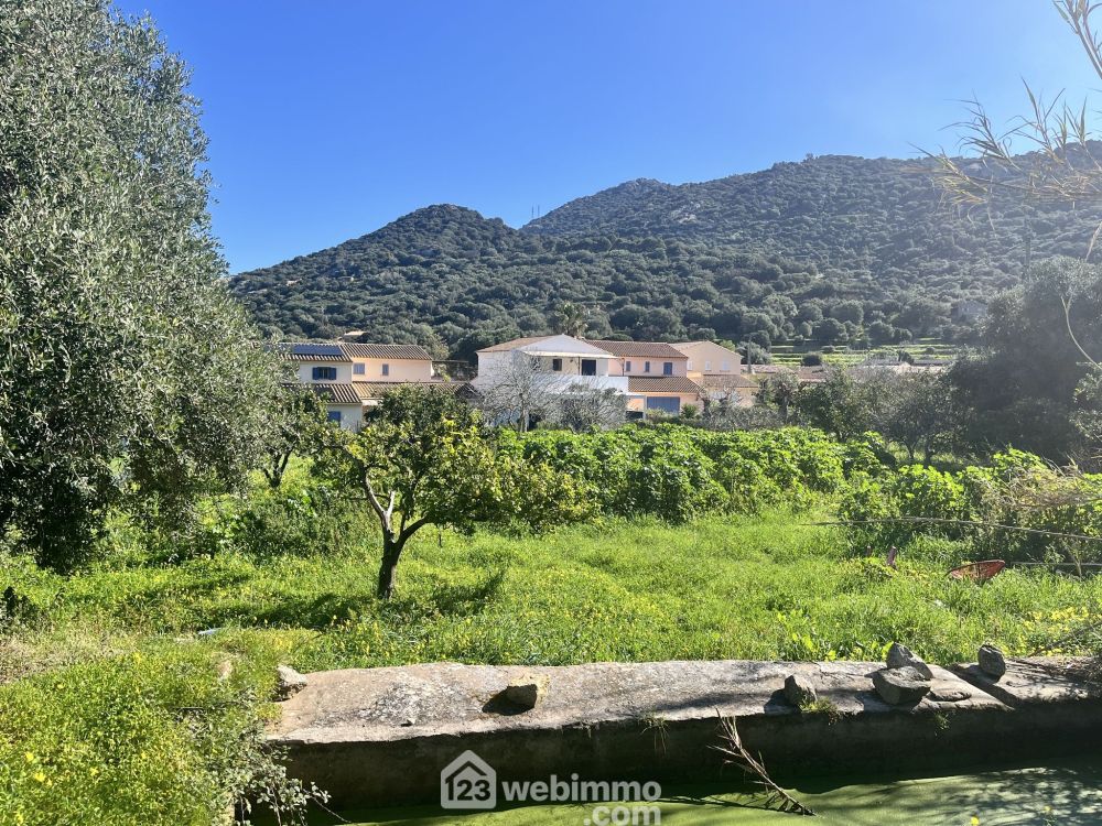 Photo 4 - Santa-Reparata-di-Balagna 20220 à Santa-Reparata-di-Balagna