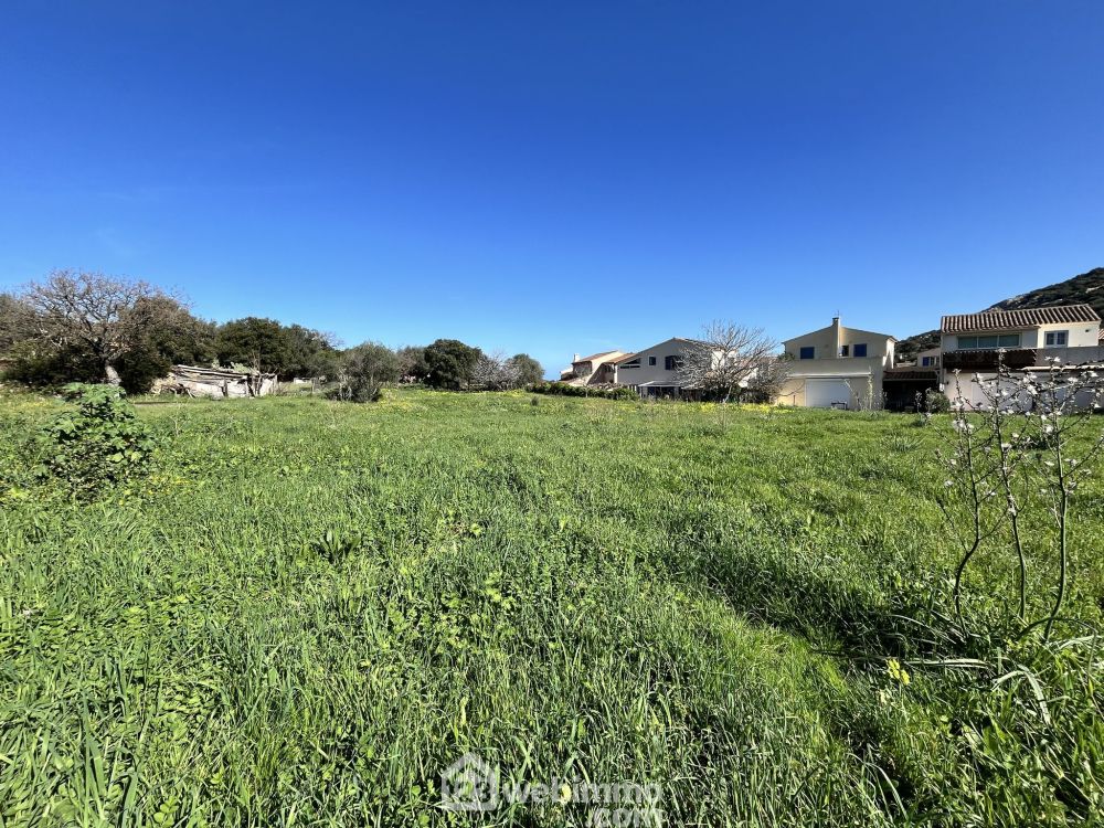 Photo 5 - Santa-Reparata-di-Balagna 20220 à Santa-Reparata-di-Balagna