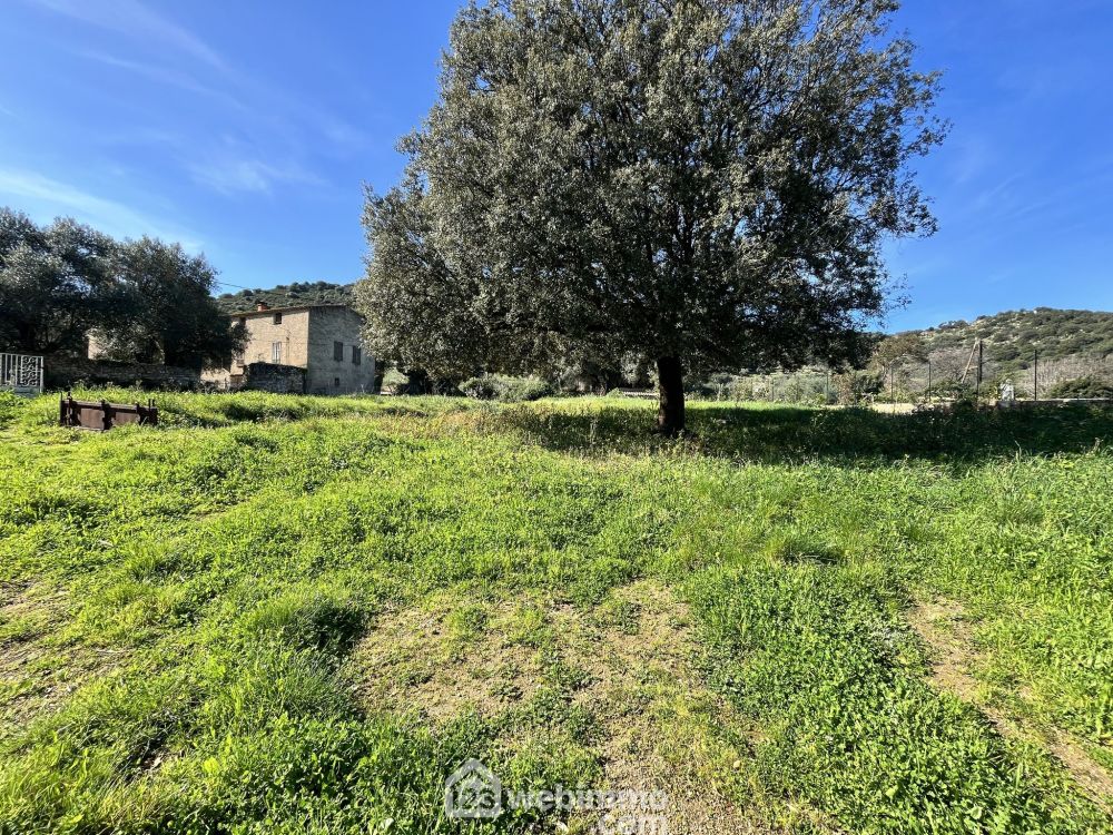 Photo 6 - Santa-Reparata-di-Balagna 20220 à Santa-Reparata-di-Balagna