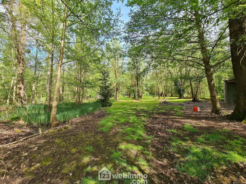 Photo 21 - Aulnay-la-Rivière 45390 à Aulnay-la-Rivière