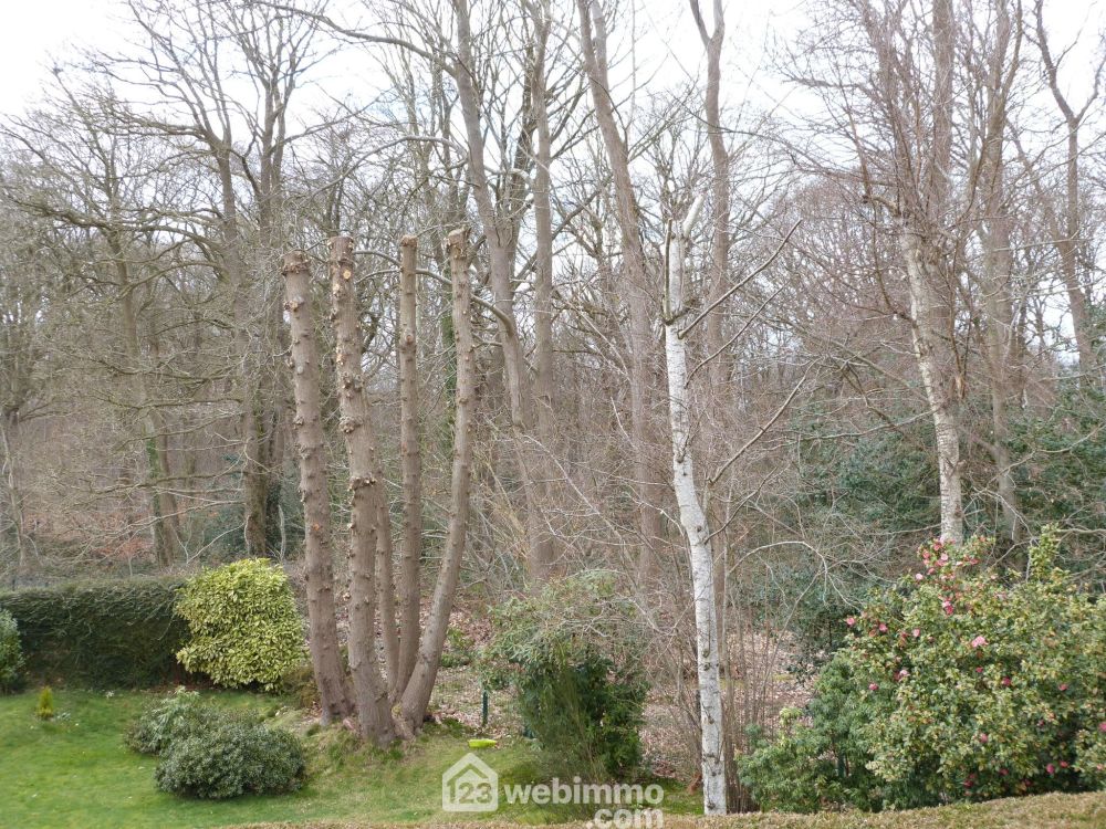 Photo 13 - Notre-Dame-de-Bondeville 76960 à Notre-Dame-de-Bondeville