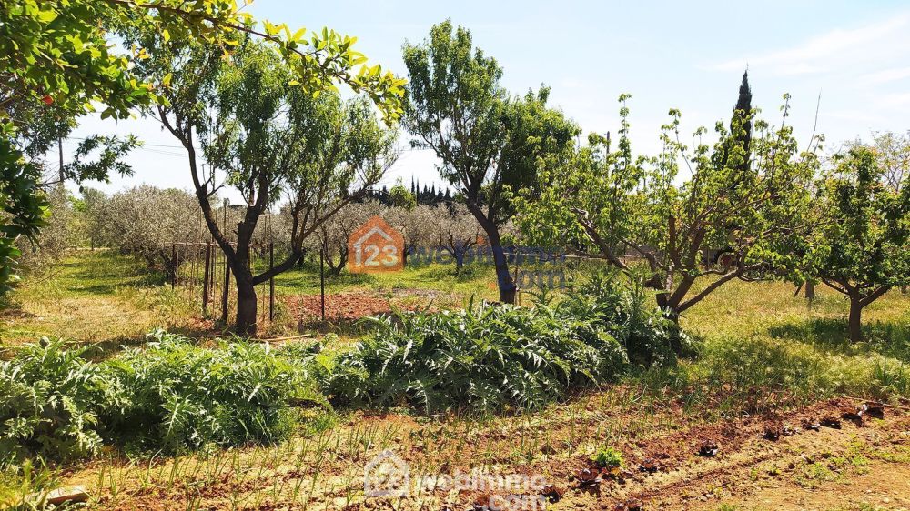 Photo 45 - Arles 13200 à Arles