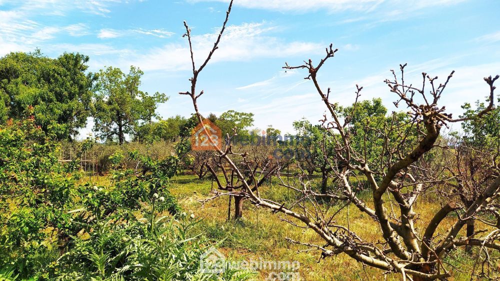 Photo 46 - Arles 13200 à Arles