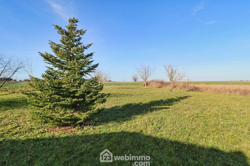 Photo 37 - Saint-Martin-la-Pallu 86170 à Saint-Martin-la-Pallu