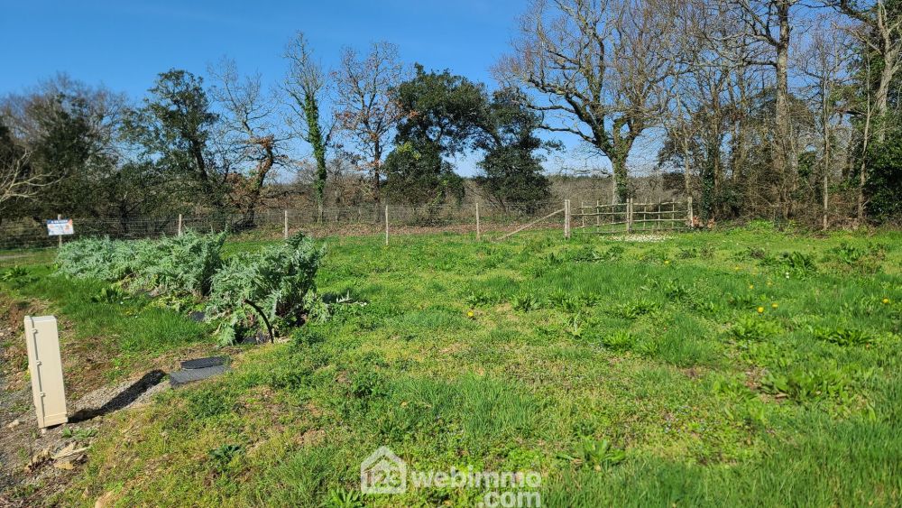 Photo 3 - Talmont-Saint-Hilaire 85440 à Talmont-Saint-Hilaire