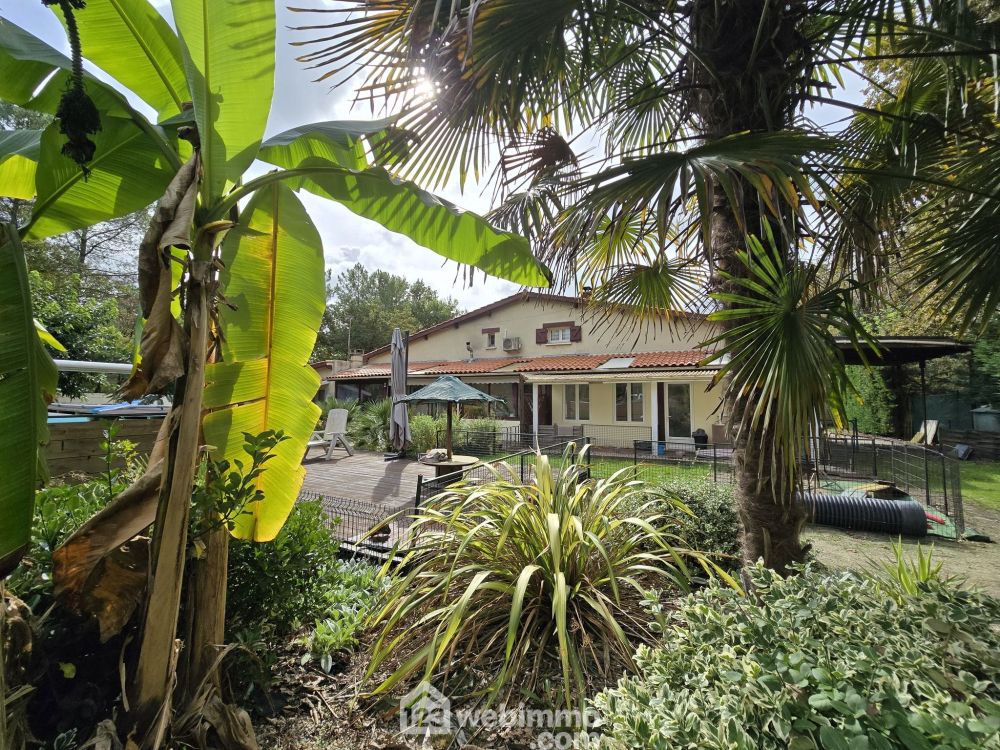 Photo 2 - Le Pian-Médoc 33290 à Le Pian-Médoc