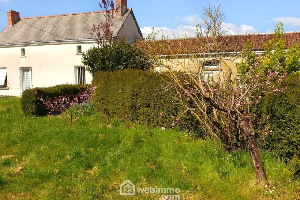 Photo 2 - Mauges-sur-Loire 49290 à Mauges-sur-Loire