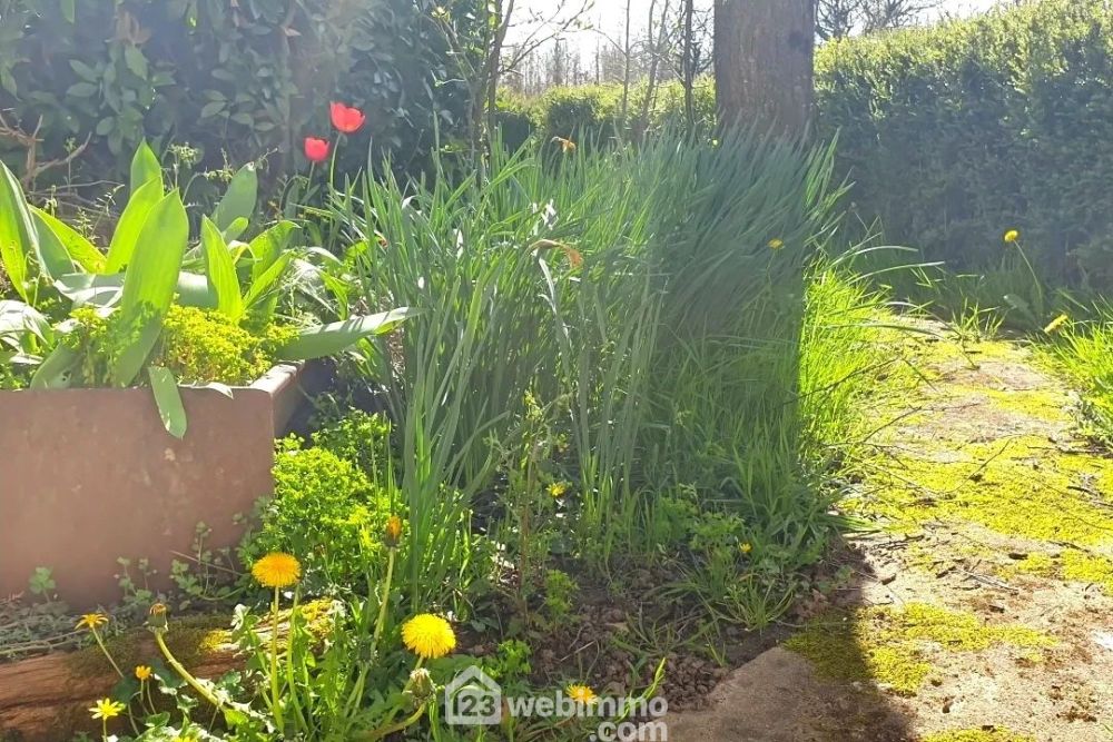 Photo 6 - Mauges-sur-Loire 49290 à Mauges-sur-Loire