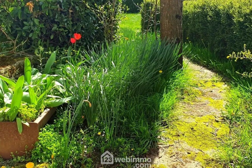 Photo 18 - Mauges-sur-Loire 49290 à Mauges-sur-Loire