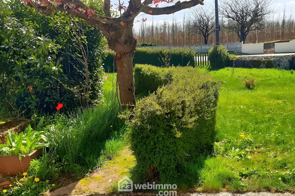 Photo 4 - Mauges-sur-Loire 49290 à Mauges-sur-Loire