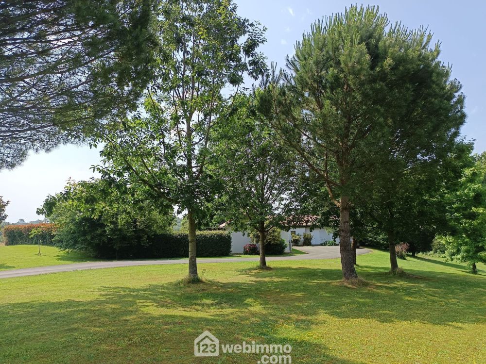 Photo 20 - Pomarez 40360 à Pomarez