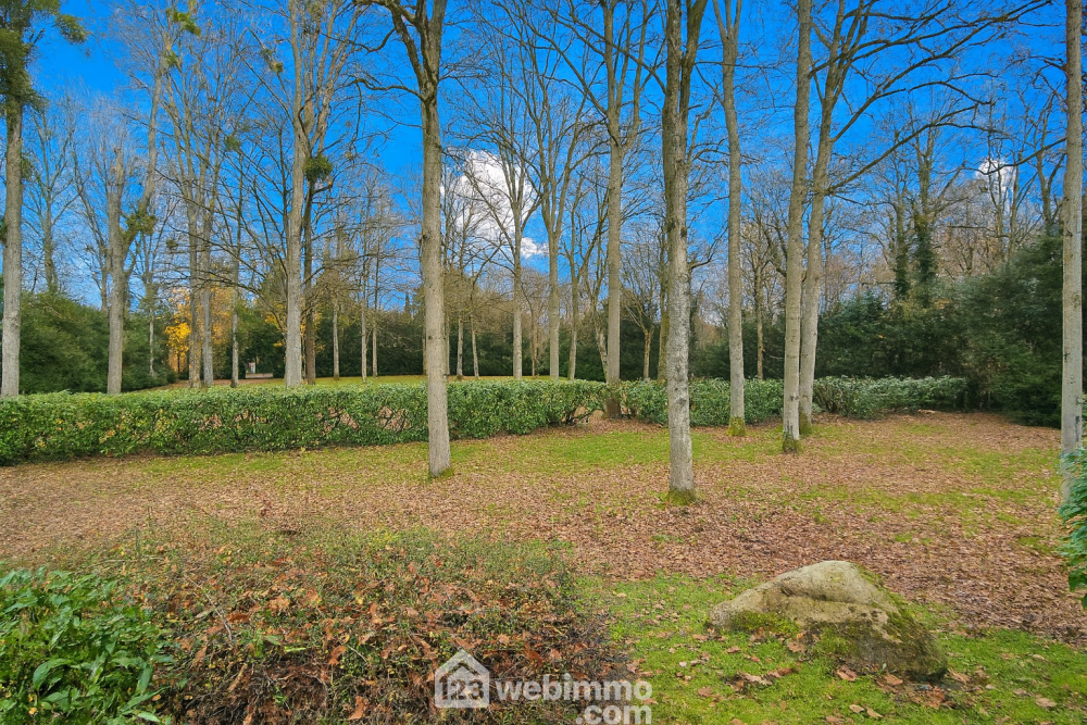 Photo 20 - Milly-la-Forêt 91490 à Milly-la-Forêt