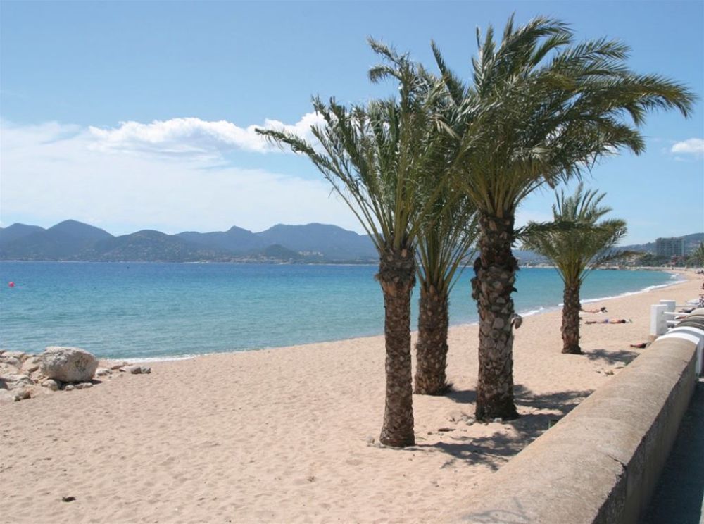 Photo 2 - Cannes 06400 à Cannes