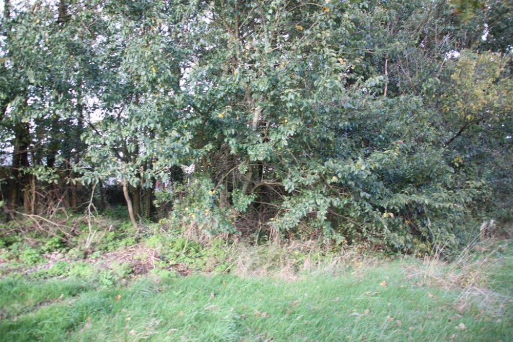 Photo 4 - Sainte-Cécile 85110 à Sainte-Cécile