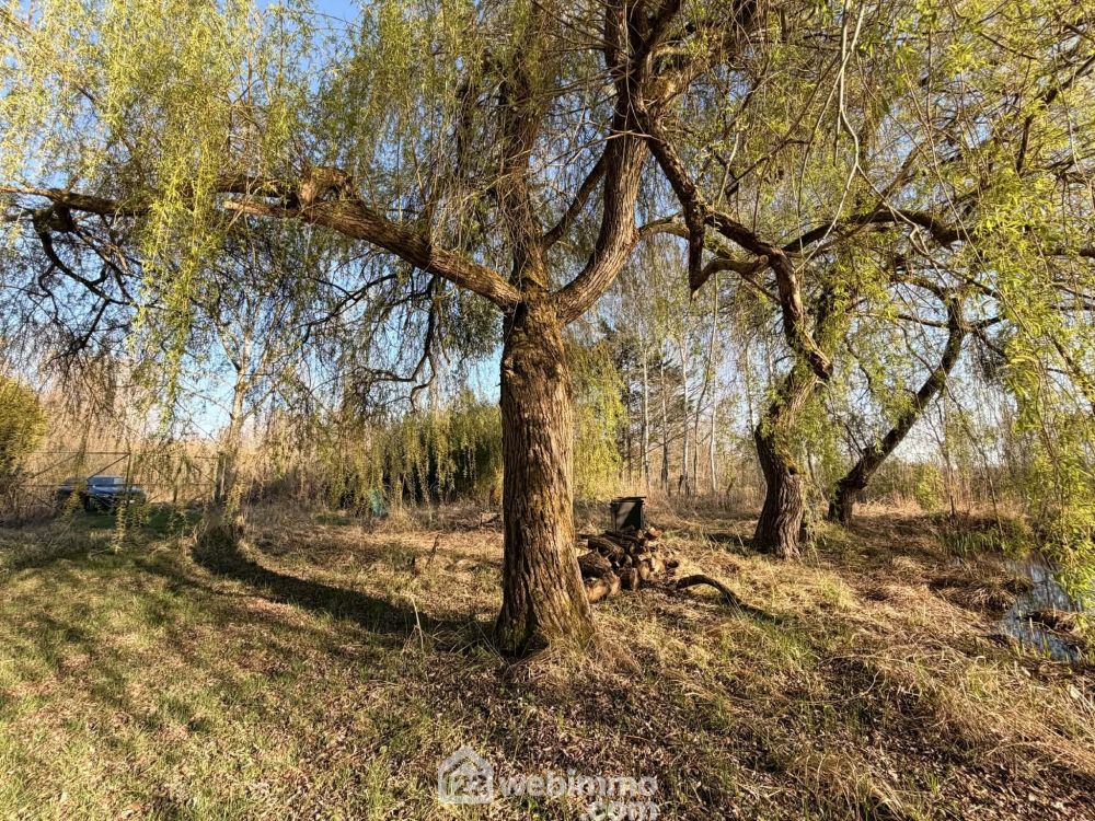 Photo 7 - Pierrepont 02350 à Pierrepont