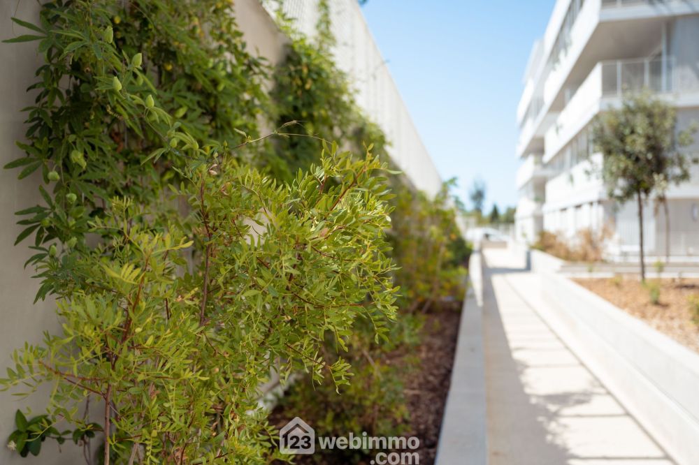 Photo 2 - Sète 34200 à Sète