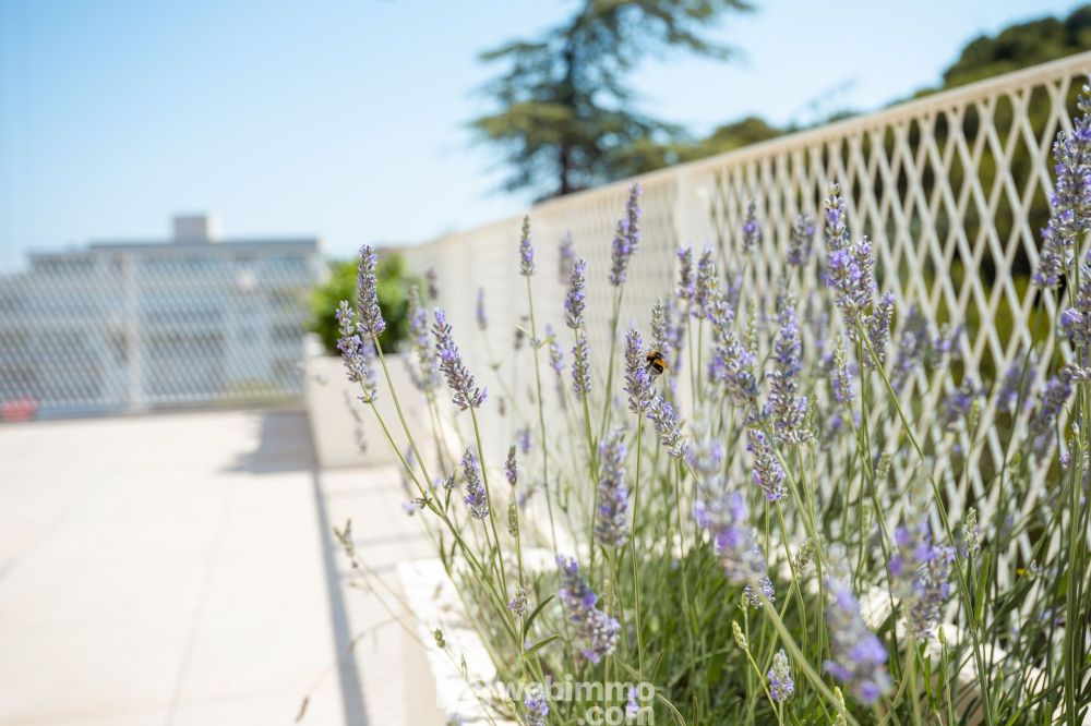 Photo 14 - Sète 34200 à Sète