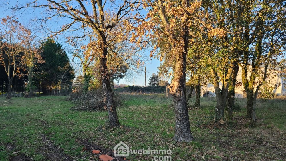 Photo 4 - Talmont-Saint-Hilaire 85440 à Talmont-Saint-Hilaire