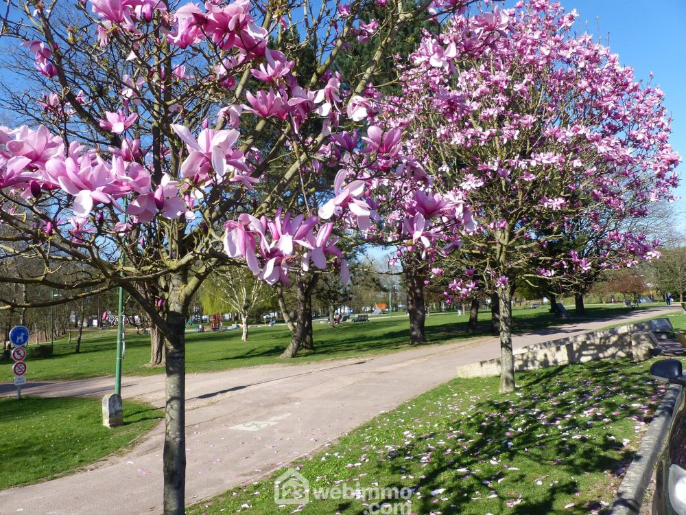 Photo 1 - Bihorel 76420 à Bihorel