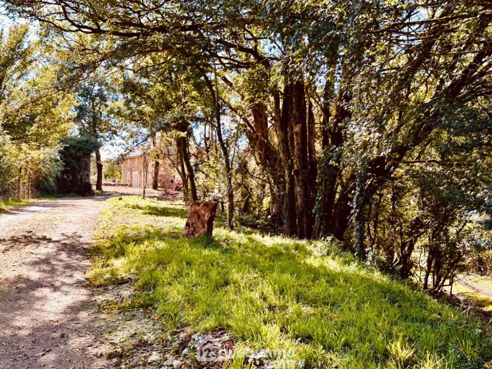 Photo 2 - Valence-en-Poitou 86700 à Valence-en-Poitou