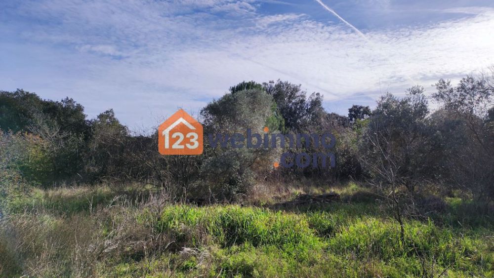 Photo 2 - Cornillon-Confoux 13250 à Cornillon-Confoux