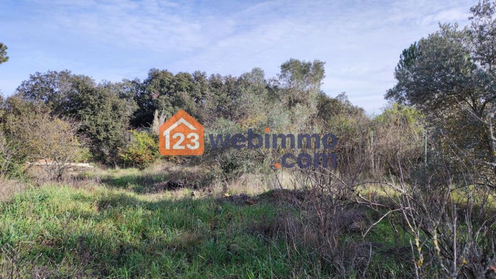 Photo 5 - Cornillon-Confoux 13250 à Cornillon-Confoux