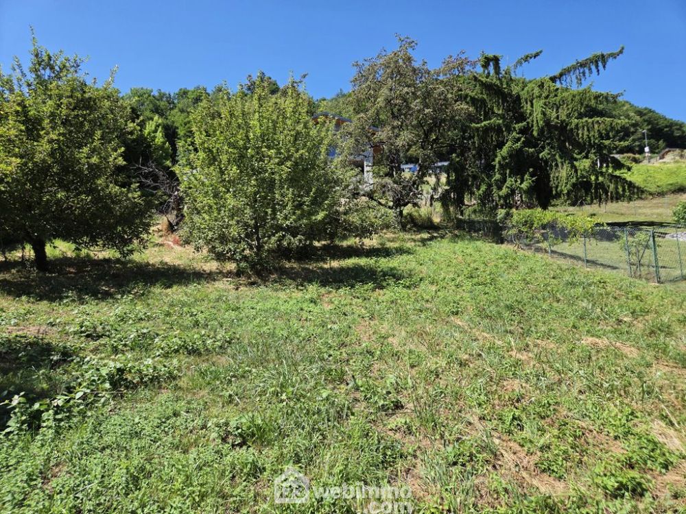 Photo 5 - Mercury 73200 à Mercury