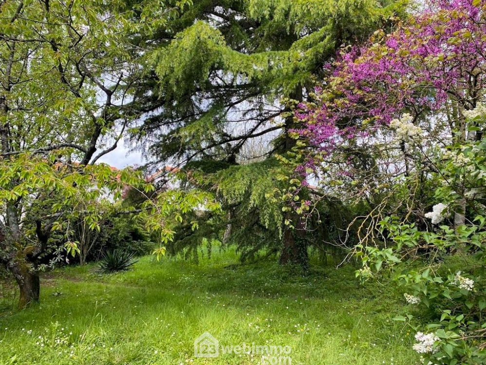 Photo 12 - Saint-Christophe-du-Bois 49280 à Saint-Christophe-du-Bois