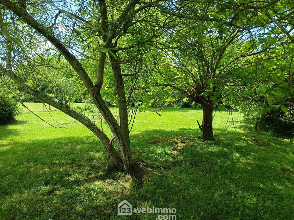 Photo 18 - Brassempouy 40330 à Brassempouy