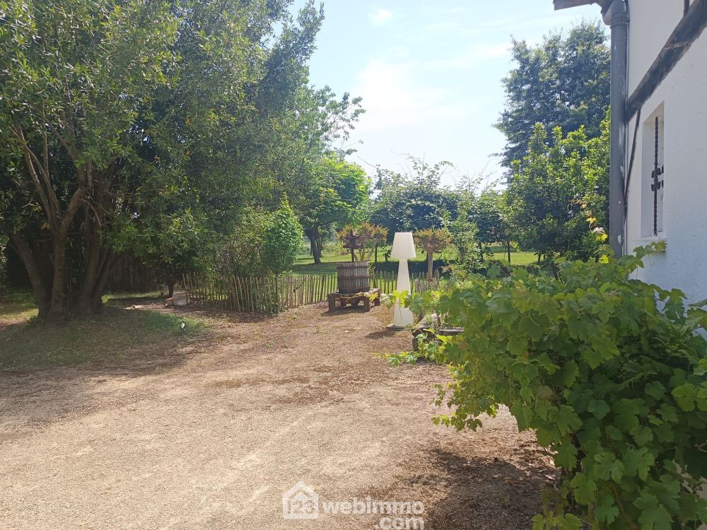 Photo 27 - Brassempouy 40330 à Brassempouy