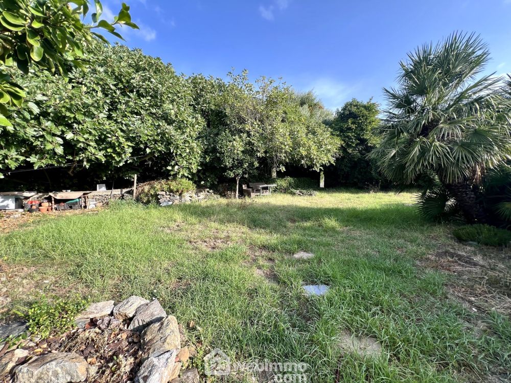 Photo 10 - Brando 20222 à Brando