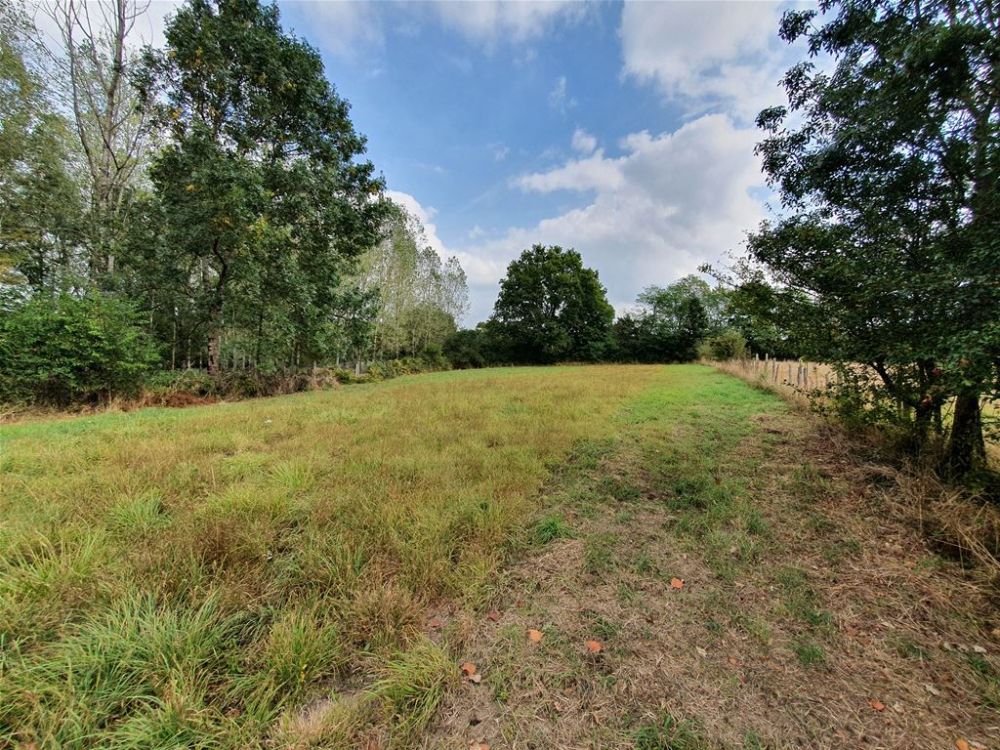 Photo 2 - Chaillé-sous-les-Ormeaux 85310 à Chaillé-sous-les-Ormeaux