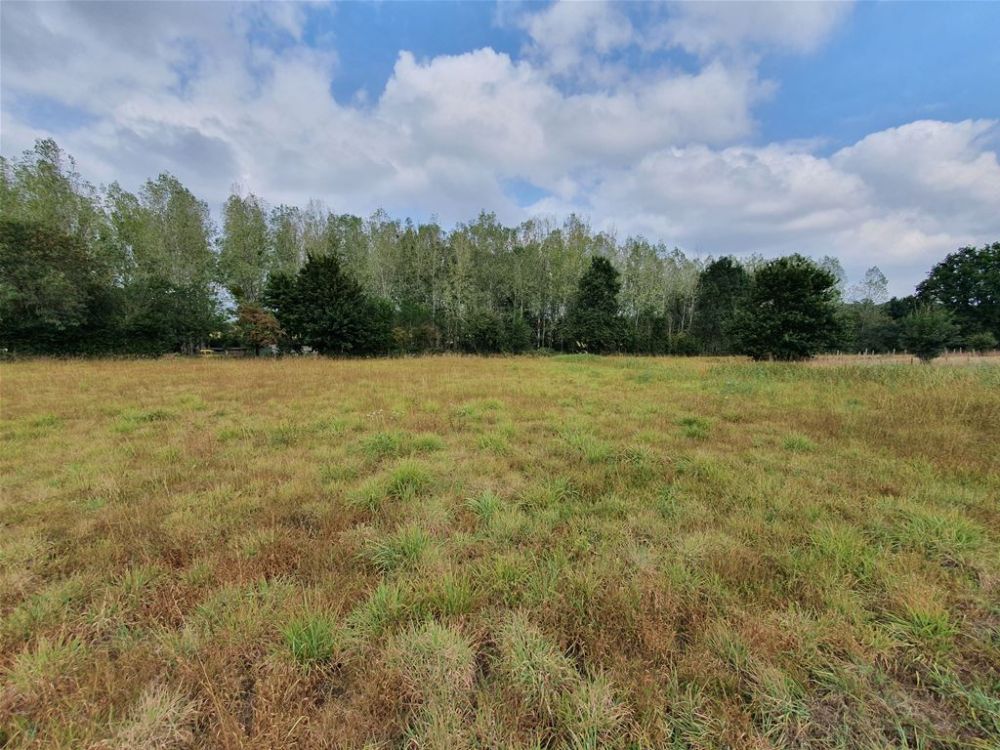 Photo 4 - Chaillé-sous-les-Ormeaux 85310 à Chaillé-sous-les-Ormeaux