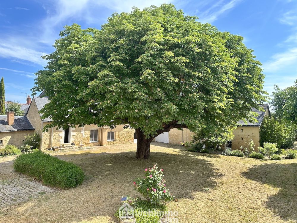 Photo 4 - Brissac Quincé 49320 à Brissac Quincé