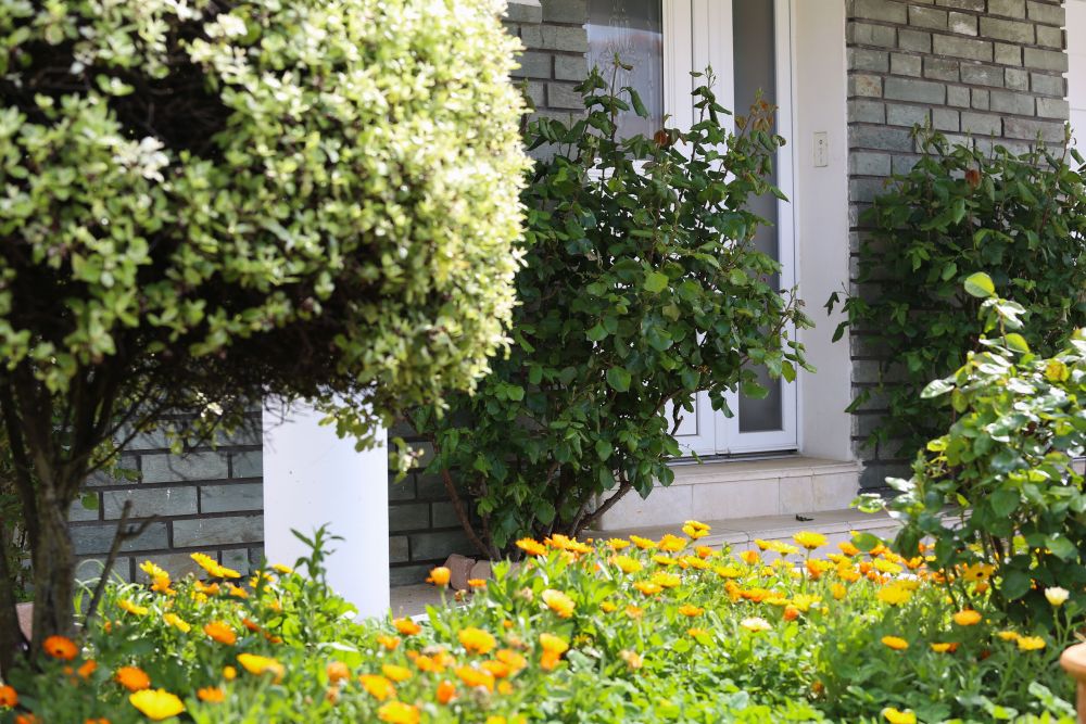 Photo 2 - Nieul-sur-Mer 17137 à Nieul-sur-Mer