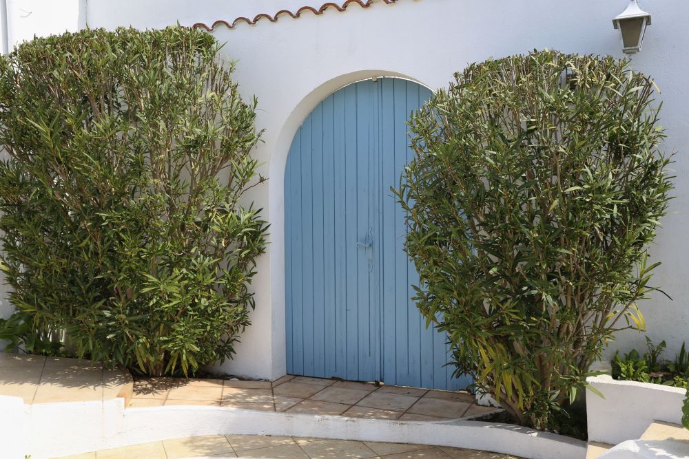 Photo 16 - Nieul-sur-Mer 17137 à Nieul-sur-Mer