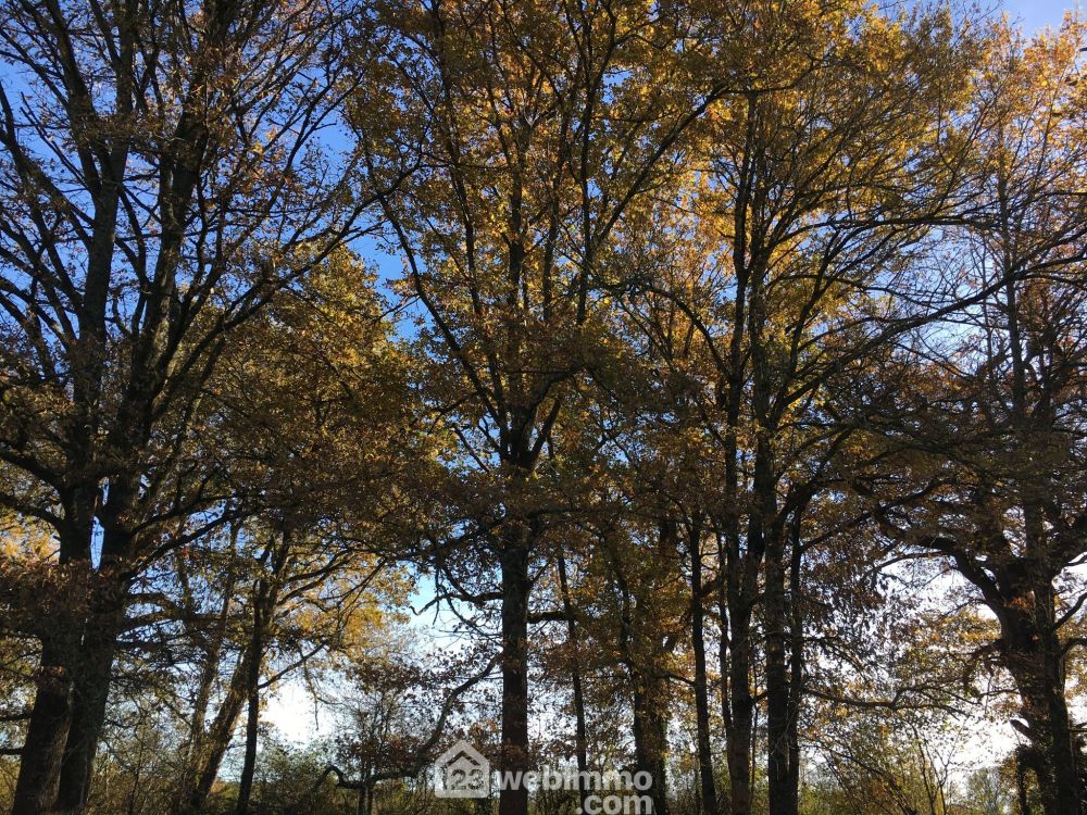 Photo 28 - Lannepax 32190 à Lannepax