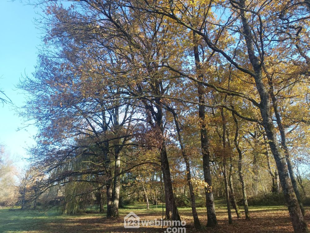 Photo 35 - Lannepax 32190 à Lannepax