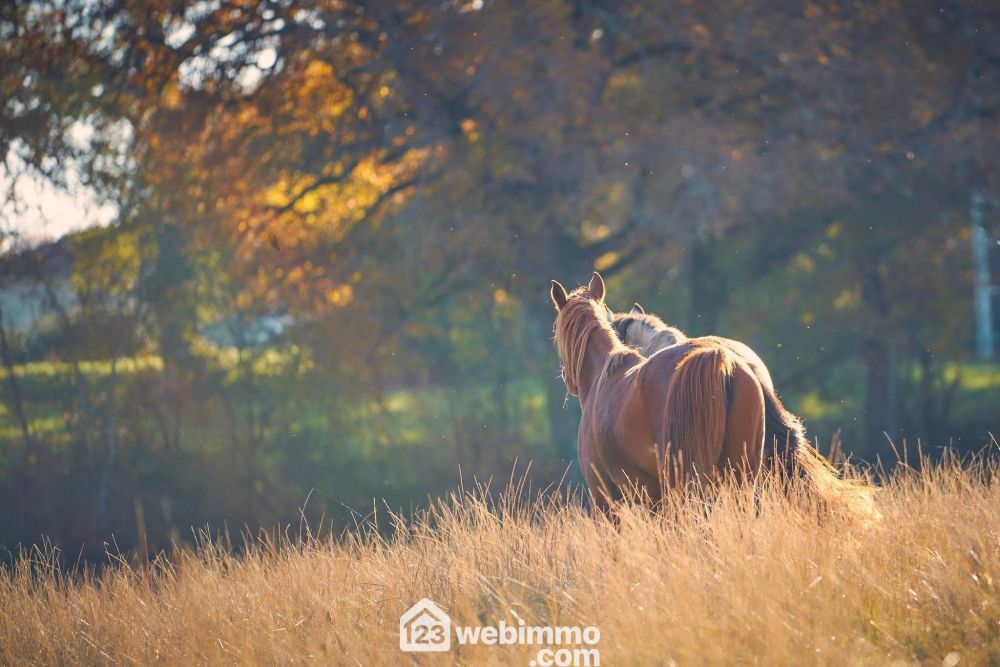 Photo 1 - Lannepax 32190 à Lannepax