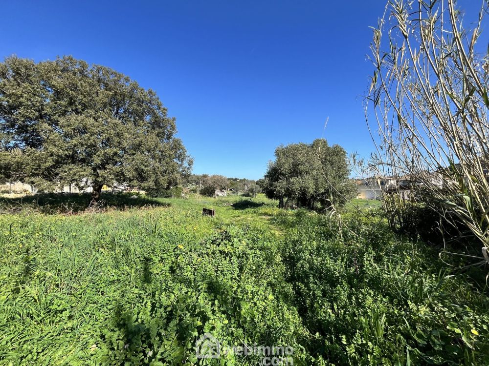 Photo 4 - Santa-Reparata-di-Balagna 20220 à Santa-Reparata-di-Balagna