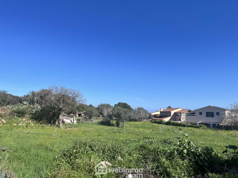 Photo 7 - Santa-Reparata-di-Balagna 20220 à Santa-Reparata-di-Balagna